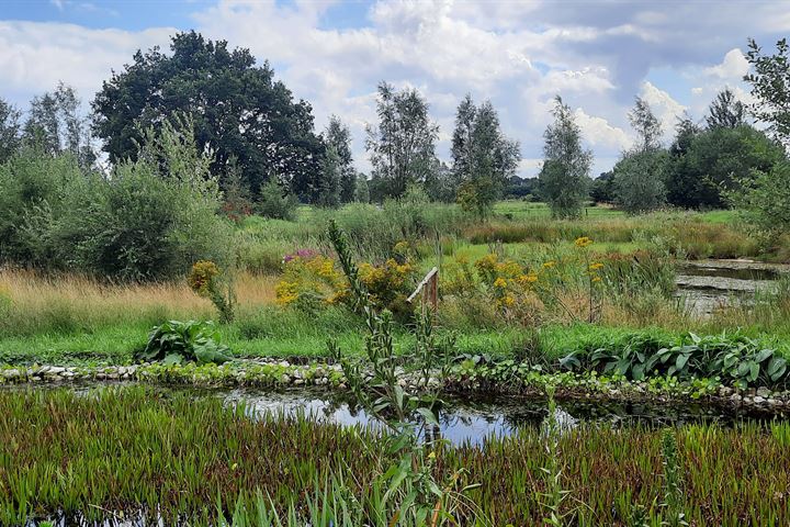 Bekijk foto 25 van Jan Slotswijk 14