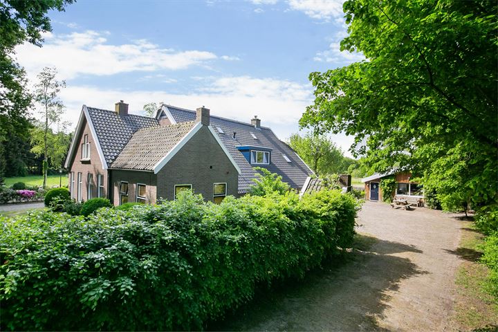 View photo 39 of Stroovledder 17