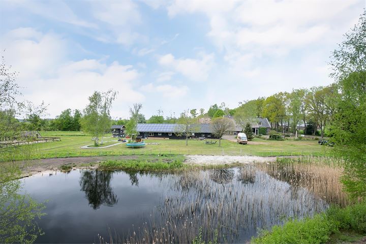 View photo 75 of Stroovledder 17