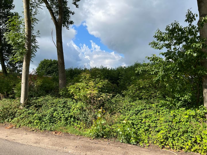 Foto 2 van Zandstraat