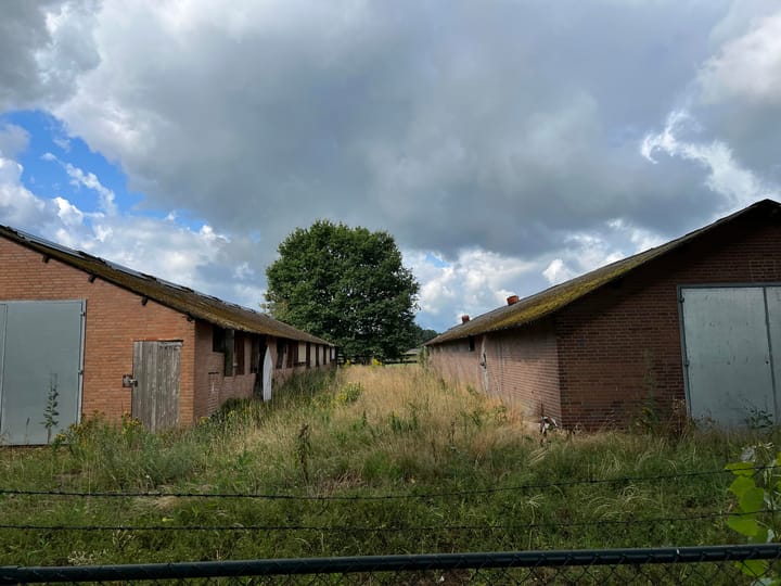 Foto 5 van Zandstraat