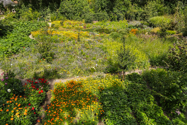 Foto 6 van Lubertus van Beekstrjitte