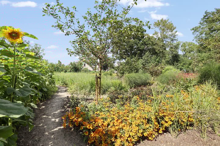 Foto 12 van Lubertus van Beekstrjitte