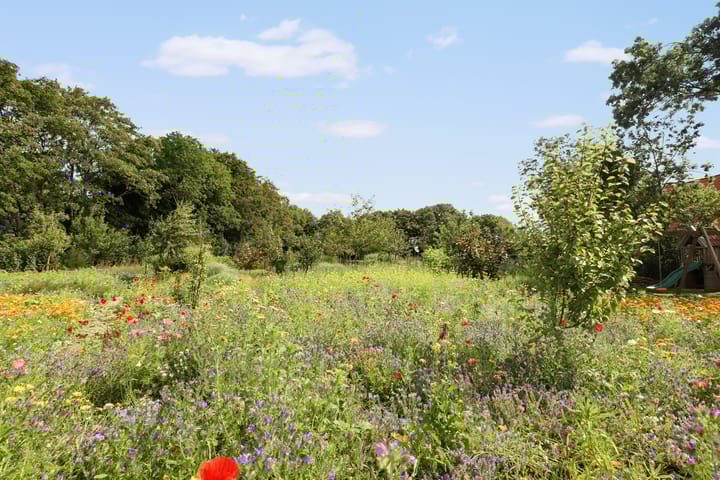 Foto 7 van Lubertus van Beekstrjitte