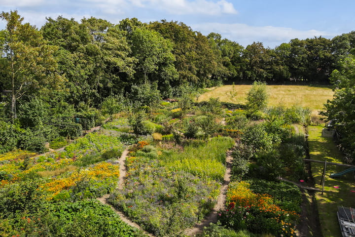 Foto 3 van Lubertus van Beekstrjitte