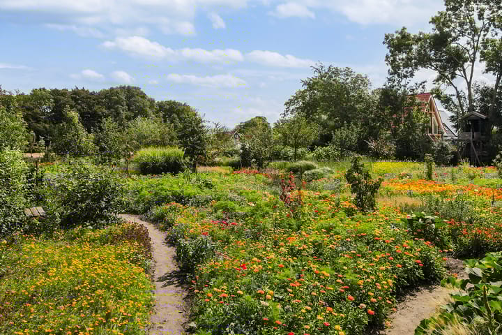 Foto 4 van Lubertus van Beekstrjitte