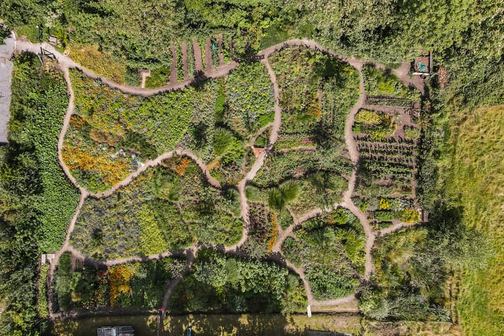 Foto 5 van Lubertus van Beekstrjitte