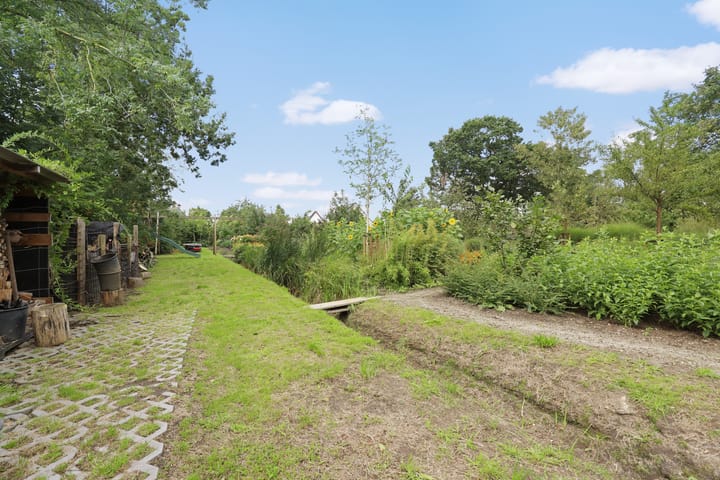 Foto 13 van Lubertus van Beekstrjitte