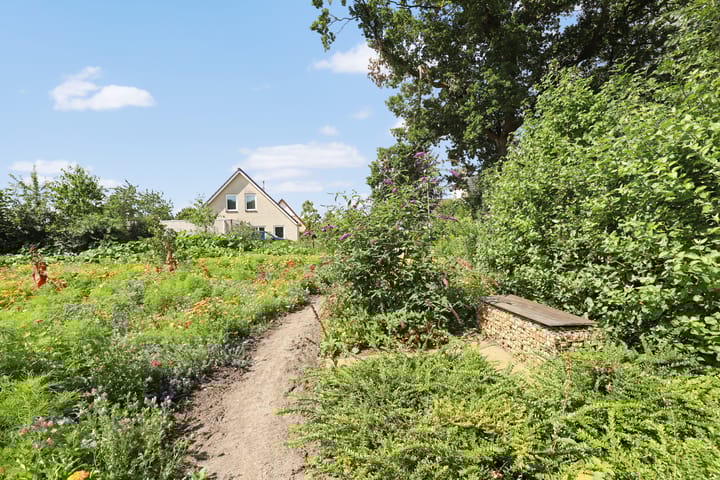 Foto 10 van Lubertus van Beekstrjitte