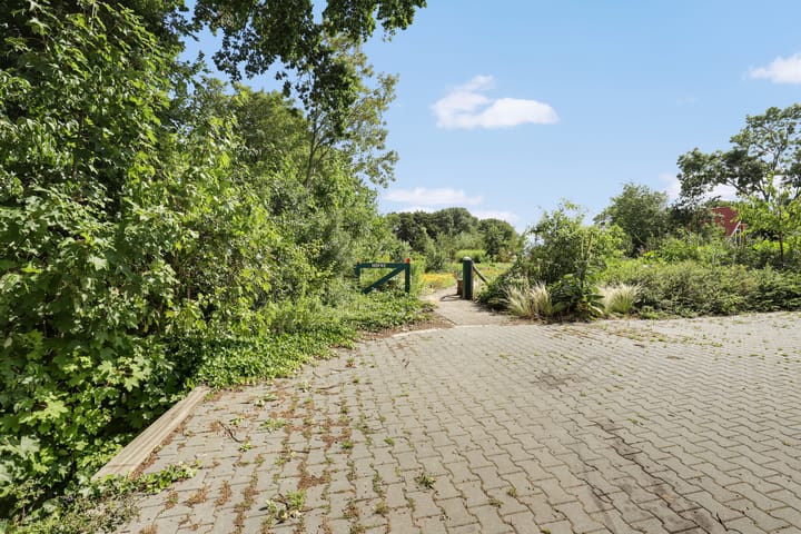 Foto 17 van Lubertus van Beekstrjitte