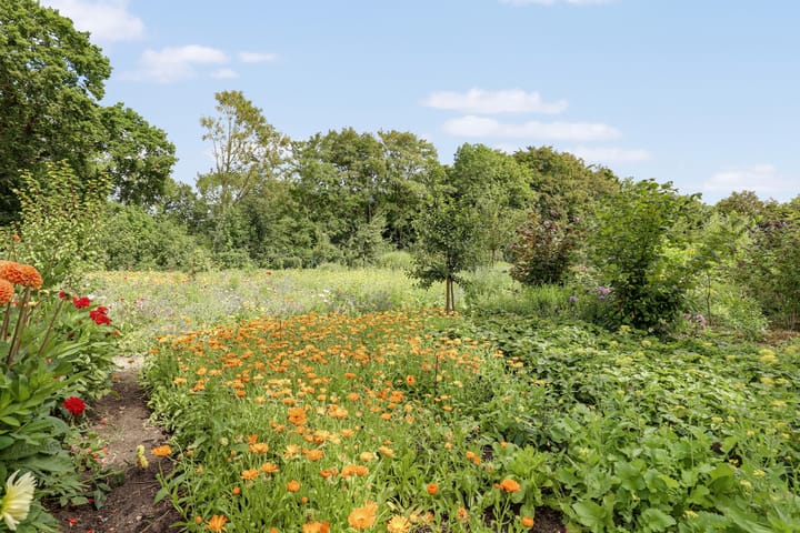 Foto 9 van Lubertus van Beekstrjitte