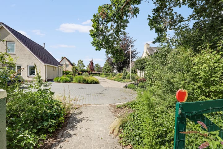 Foto 16 van Lubertus van Beekstrjitte