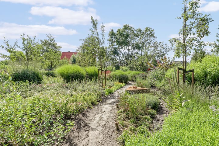 Foto 15 van Lubertus van Beekstrjitte