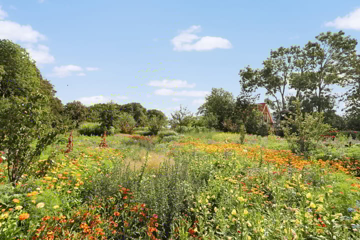 Foto 8 van Lubertus van Beekstrjitte