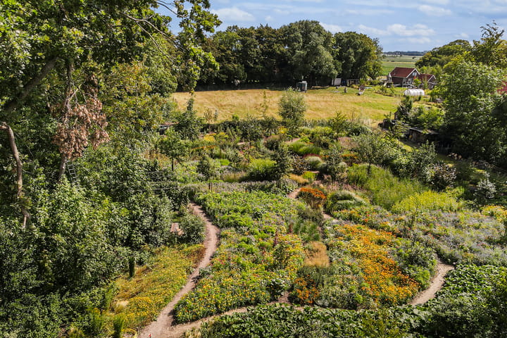 Foto 2 van Lubertus van Beekstrjitte