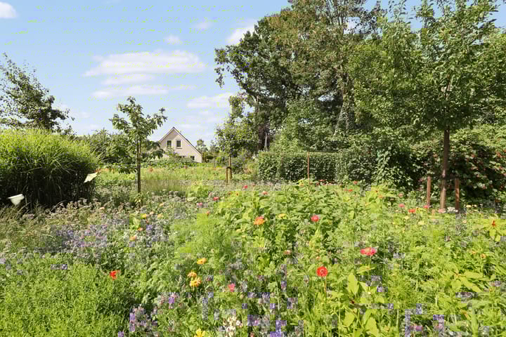 Foto 11 van Lubertus van Beekstrjitte