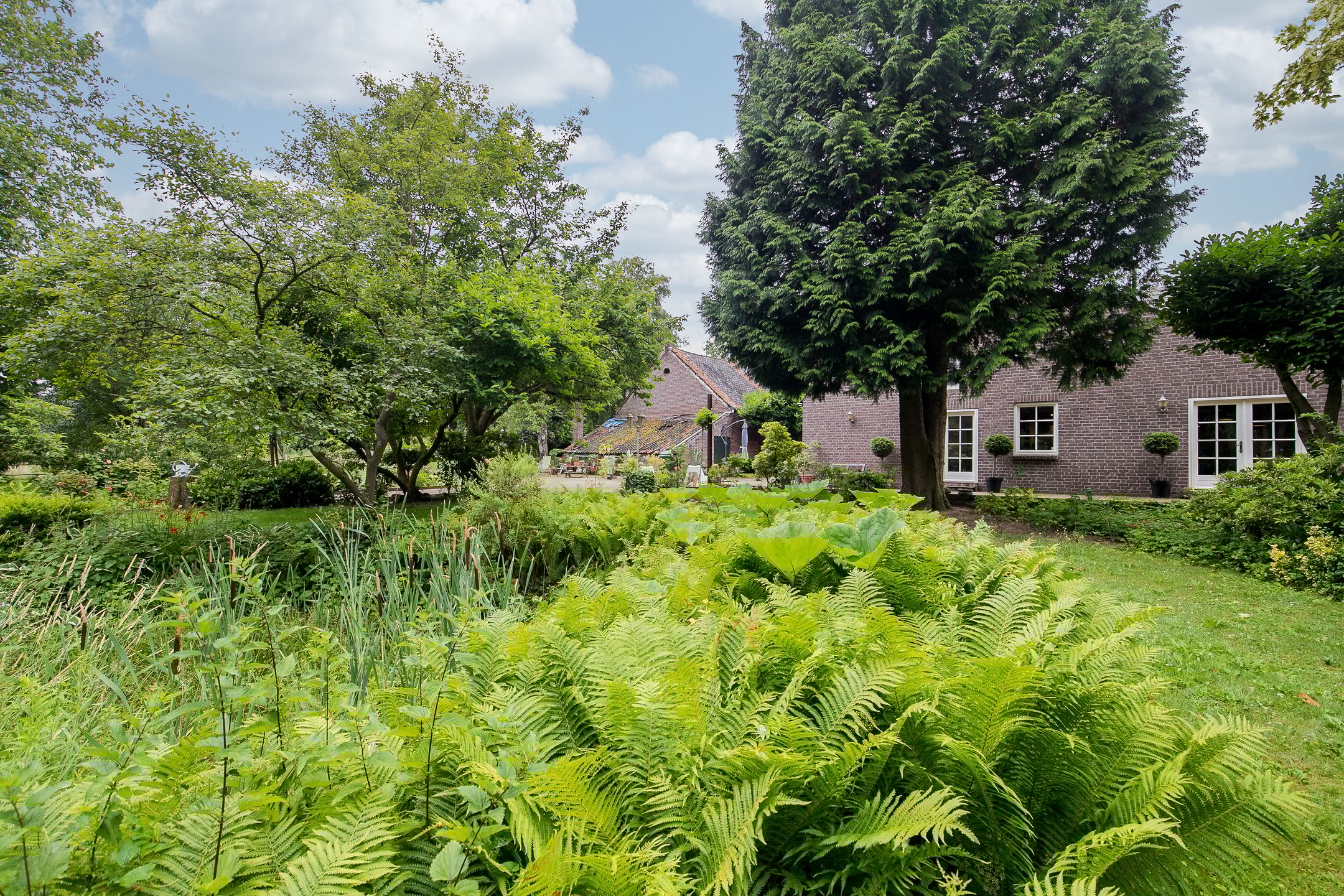 Foto 72 van Broekhuizerweg 40