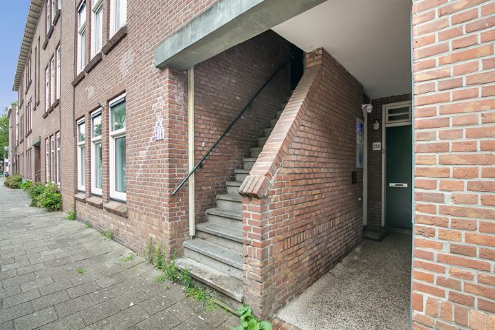 Bekijk foto 7 van Deimanstraat 256