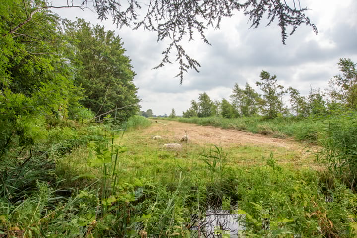 Foto 23 van J.J. Allanstraat 226