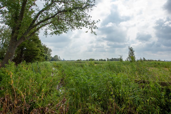 Foto 26 van J.J. Allanstraat 226