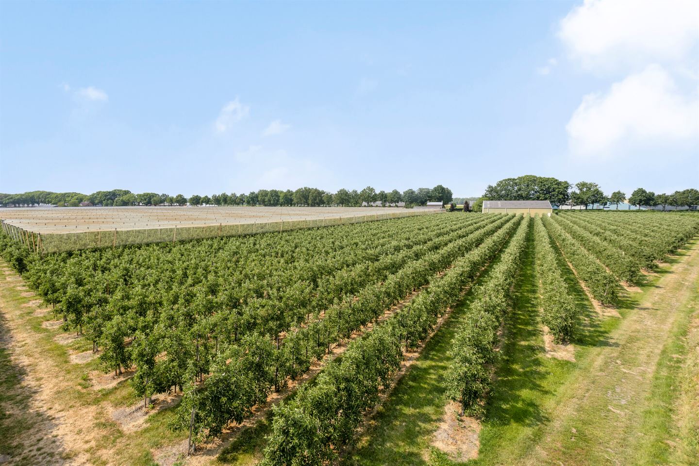 Bekijk foto 2 van Horsterweg 20-a