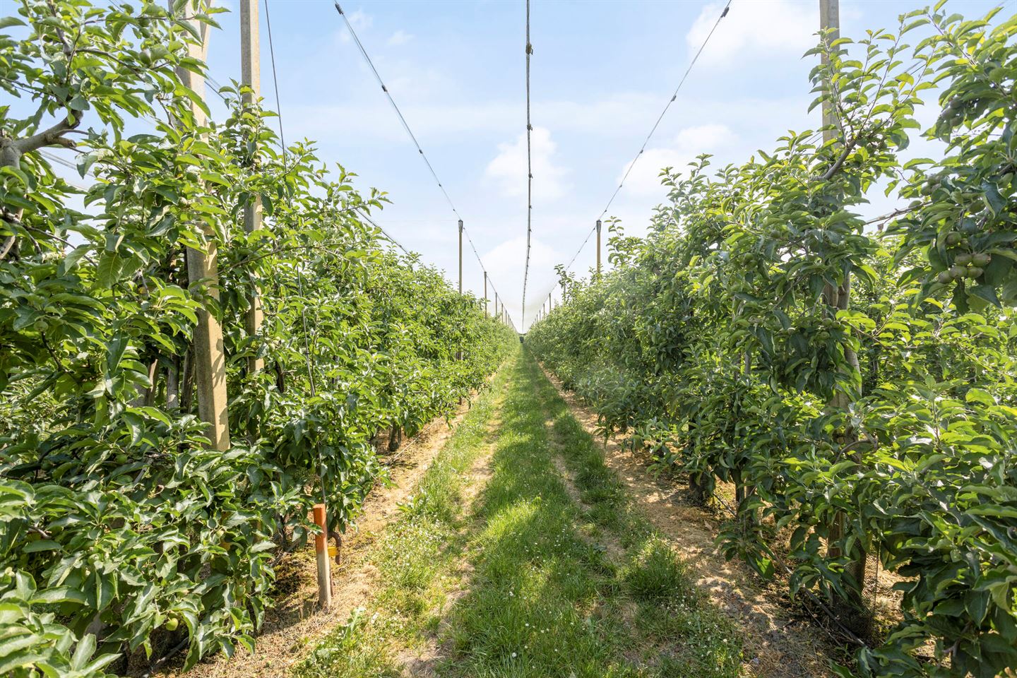 Bekijk foto 3 van Horsterweg 20-a