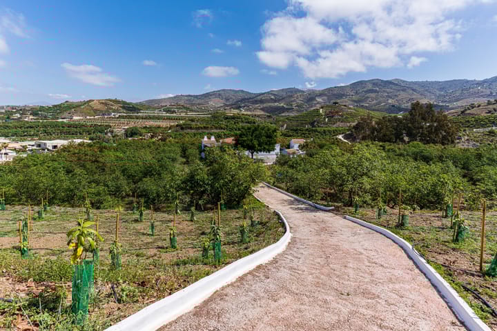 Foto 2 van Real Alto