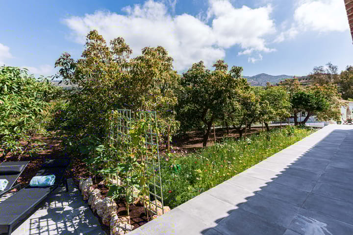 Foto 48 van Real Alto