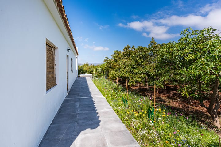 Foto 49 van Real Alto