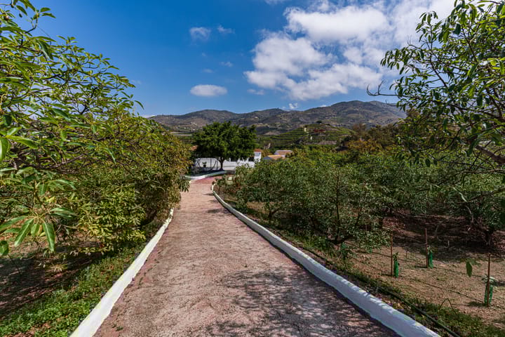 Foto 52 van Real Alto