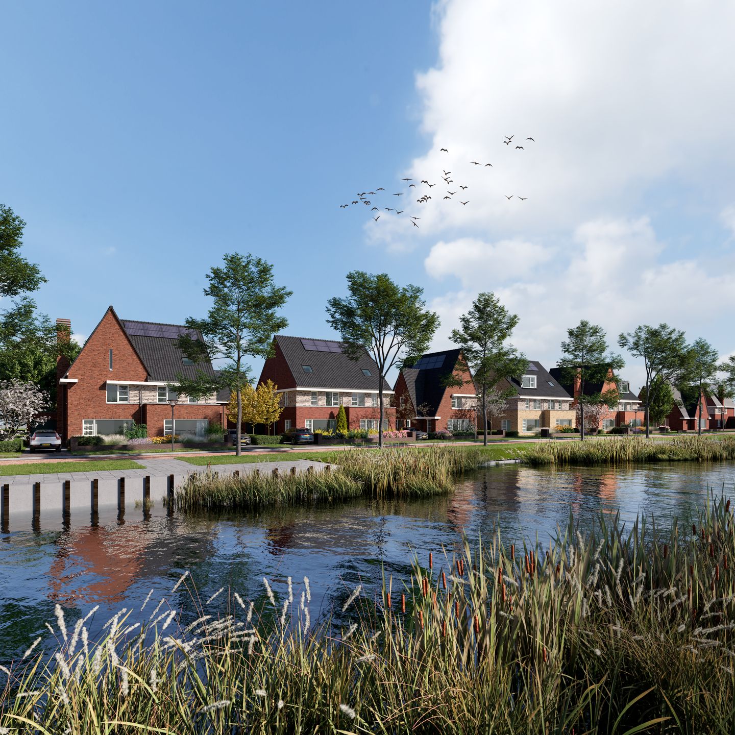 Photo 9 of De Singels