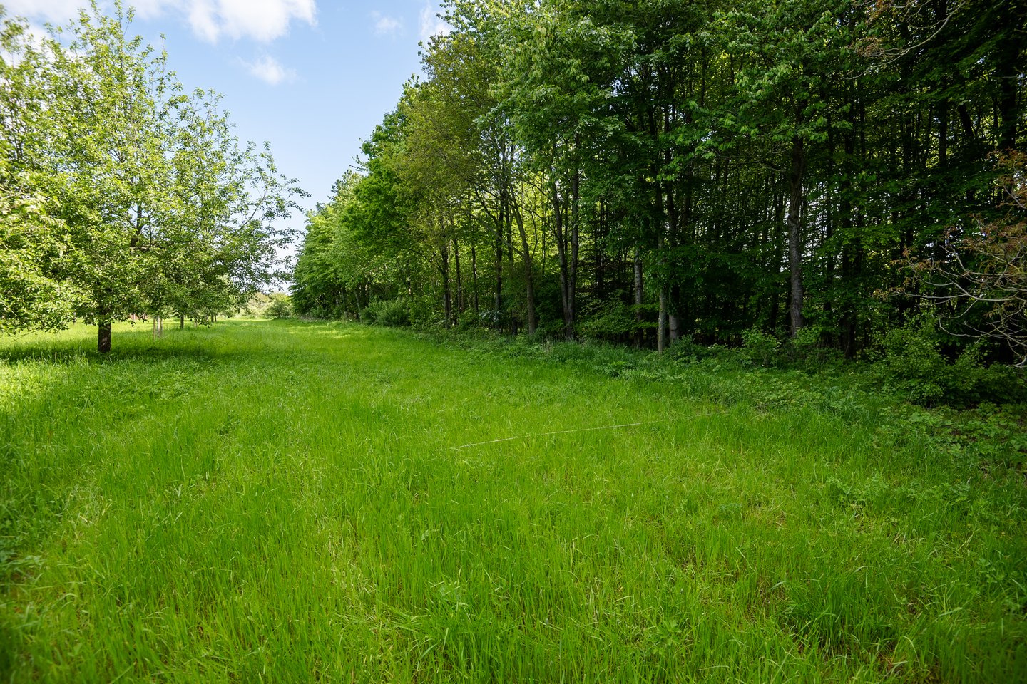 Bekijk foto 5 van Landgoed de Fazant (Bouwnr. 9)