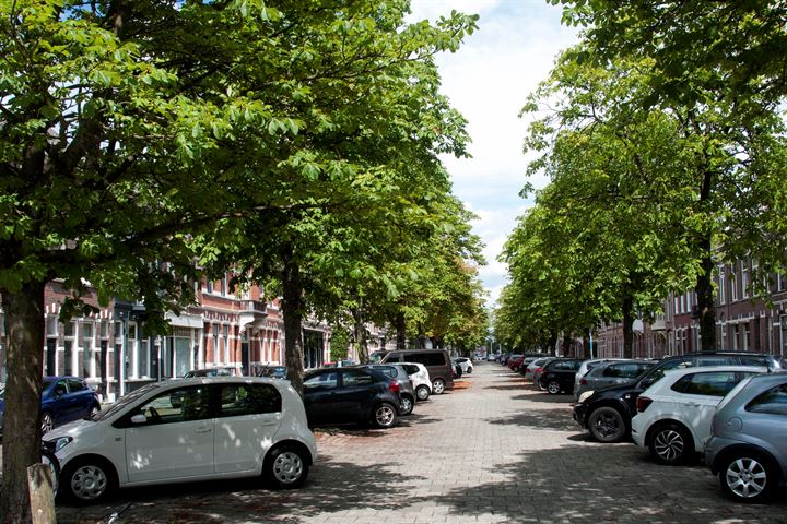 Bekijk foto 55 van Nieuwe Boschstraat 23-23A