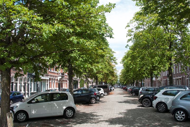 Bekijk foto 66 van Nieuwe Boschstraat 23-23A