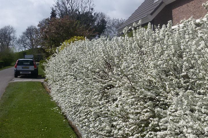 Bekijk foto 47 van Noorddijk 4-A