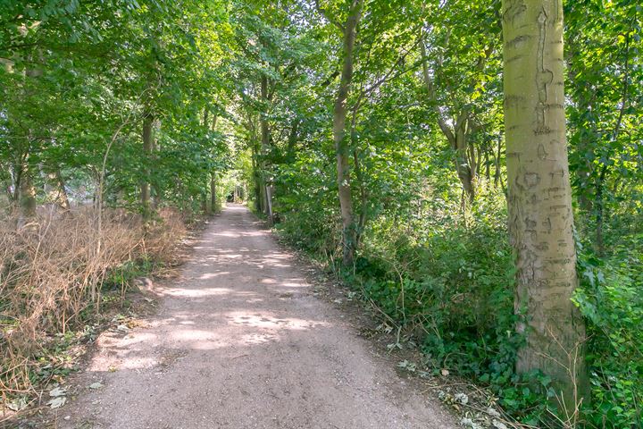 View photo 50 of Valkenisseweg 51