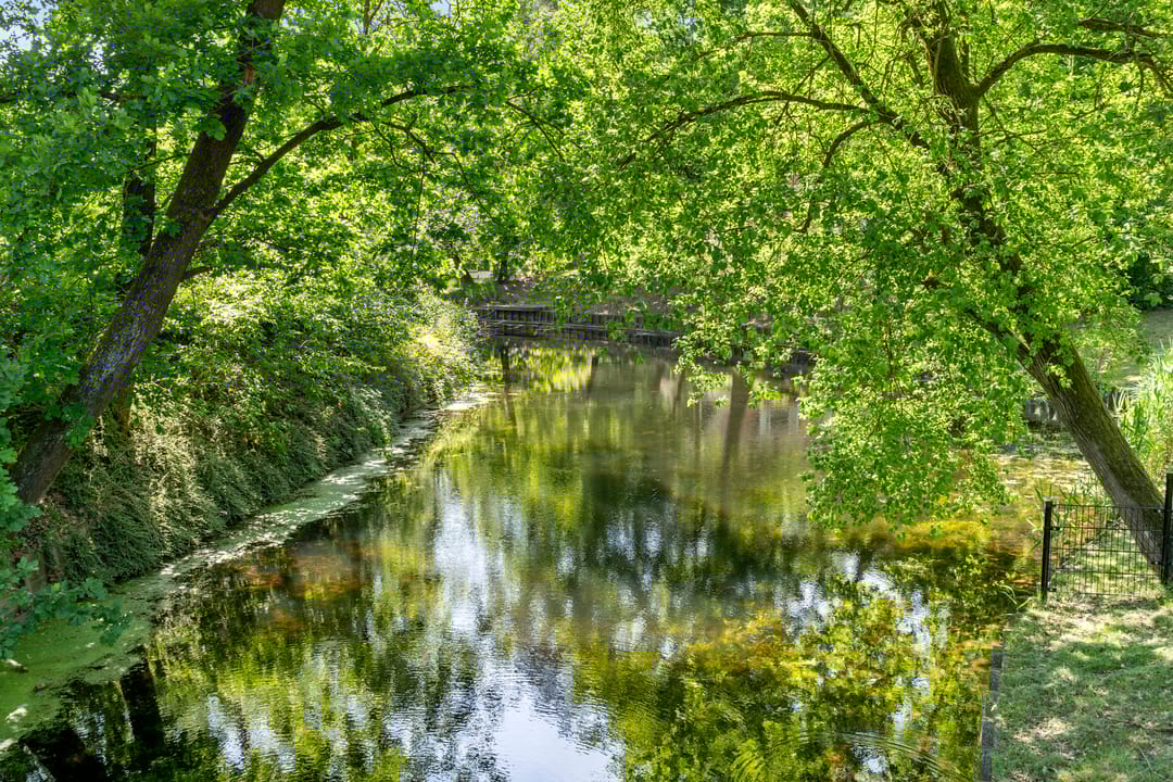 Foto 31 van Vijverlaan 1-HG9