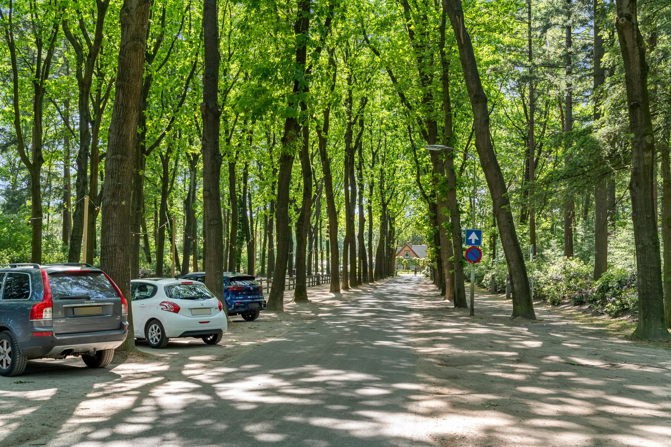 Foto 36 van Vijverlaan 1-HG9