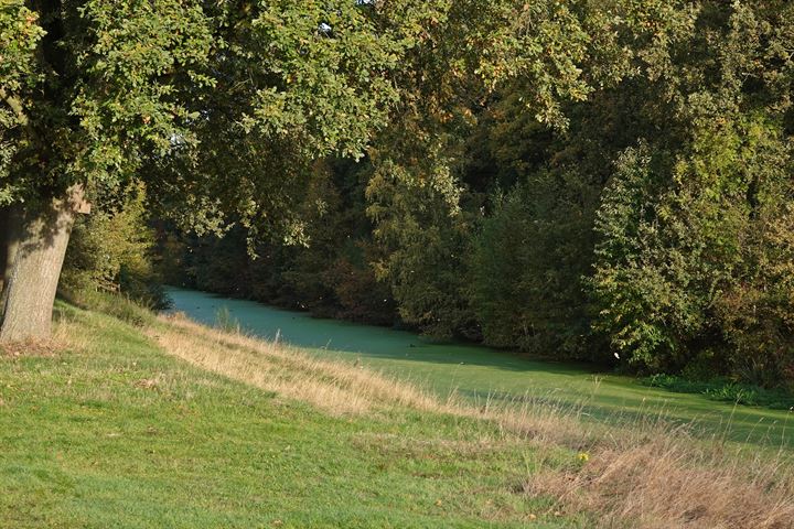 Bekijk foto 50 van Achter het Kanaal 2