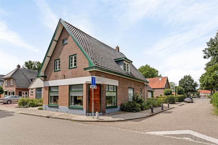 Bekijk foto 3 van Torenstraat 41