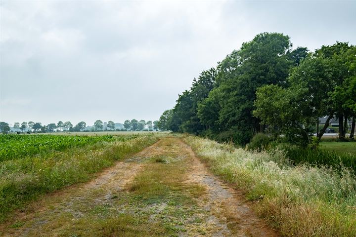 Bekijk foto 117 van Rengersweg 5