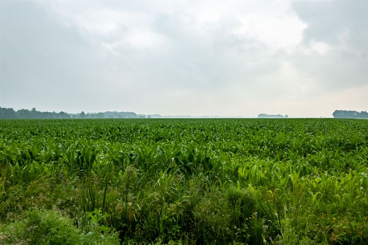 Bekijk foto 121 van Rengersweg 5