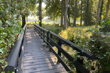 Bekijk foto's