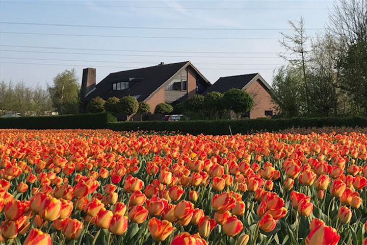 Bekijk foto 57 van Oude Herenweg 10-+