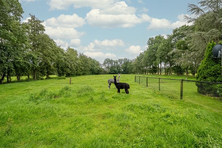 Bekijk foto 56 van Ruitenveen 11