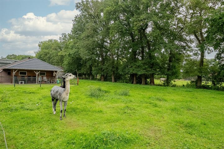 Bekijk foto 55 van Ruitenveen 11