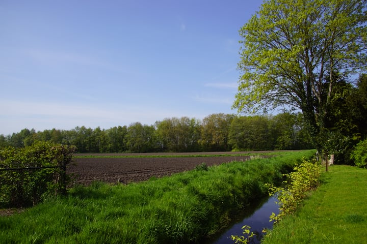 Bekijk foto 32 van Hoofdkade 75-A