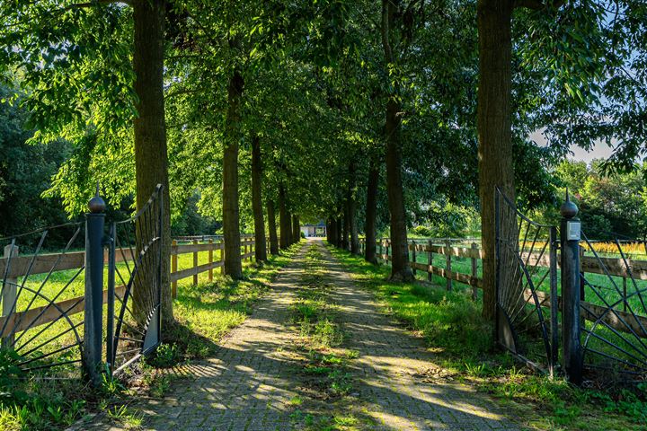 Bekijk foto 52 van Wolvegasterweg 79