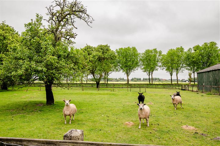 Bekijk foto 36 van Wormerweg 13