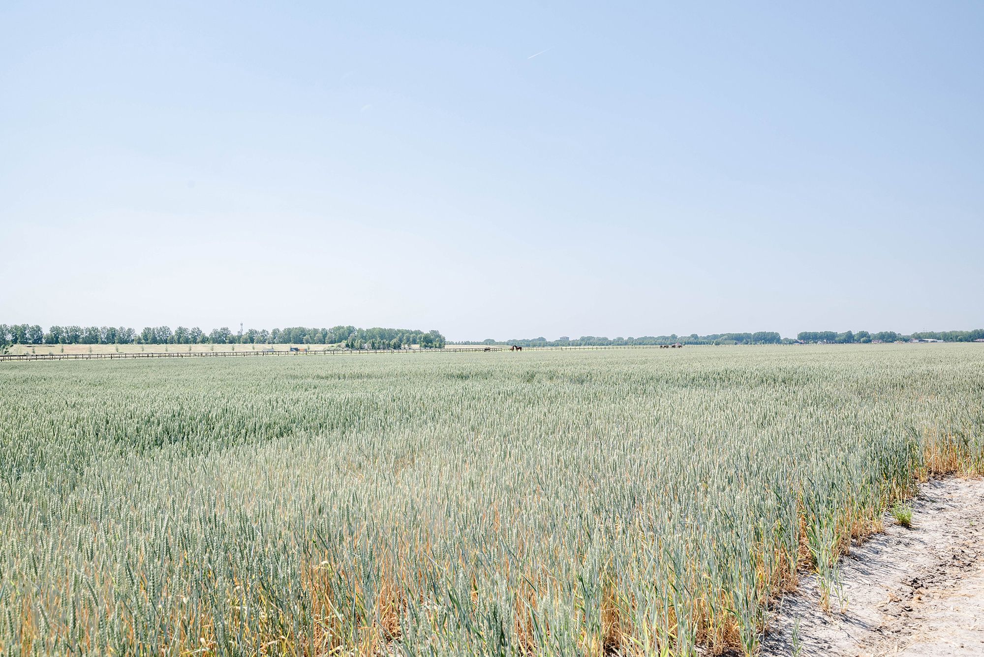 Foto 51 van Hoofdweg 511